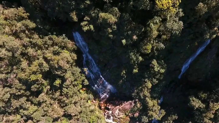 Trilha com vista para cachoeiras de Ubatuba cercadas de mata atlântica