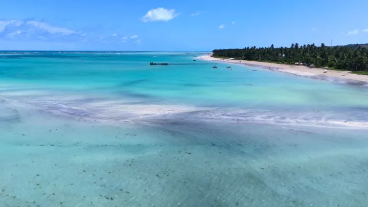 Vista panorâmica de maré baixa em Maragogi, destacando piscinas naturais.