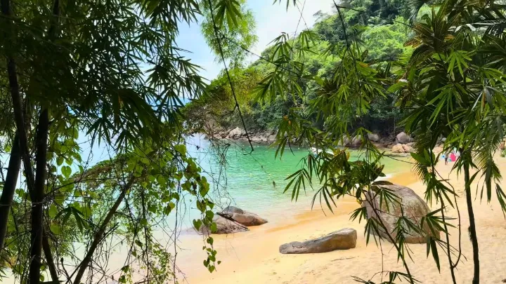 Vista panorâmica de uma praia paradisíaca em Ubatuba, destacando o mar e a vegetação.