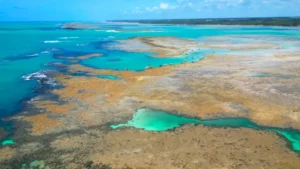 Piscinas naturais de São Miguel dos Milagres com águas cristalinas