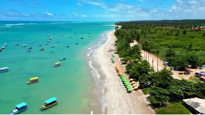 Praia deserta em São Miguel dos Milagres com coqueiros e mar cristalino ao fundo