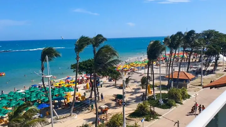 Vista aérea da Praia do Francês com barracas e coqueiros ao longo da faixa de areia.