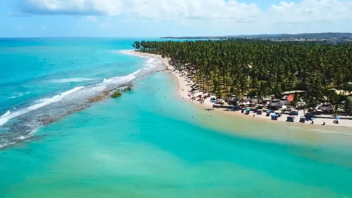 Vista aérea da Praia de Carneiros com mar azul, faixa de areia, pessoas nadando e palmeiras ao fundo
